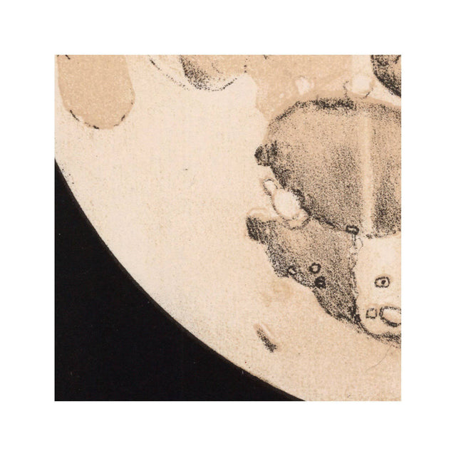LUNAR PHASES ILLUSTRATION - DAY 10 - Foundry