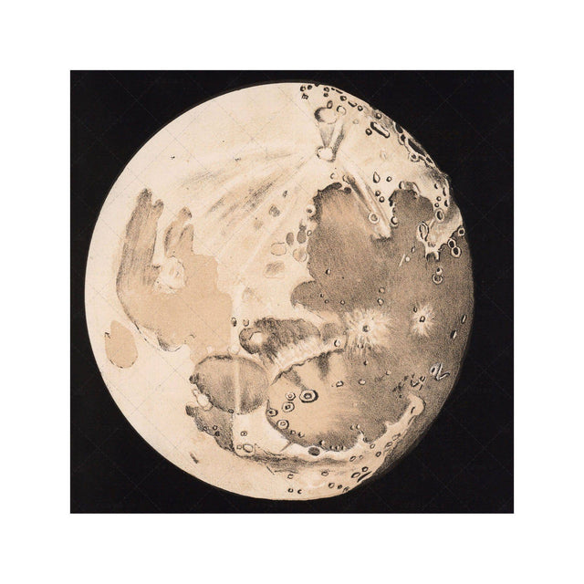 LUNAR PHASES ILLUSTRATION - DAY 10 - Foundry