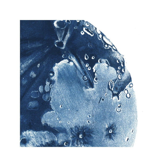 LUNAR PHASES ILLUSTRATION - DAY 10 - Foundry