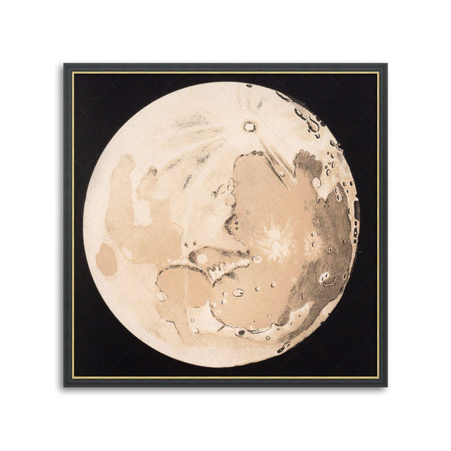 LUNAR PHASES ILLUSTRATION - DAY 11 - Foundry