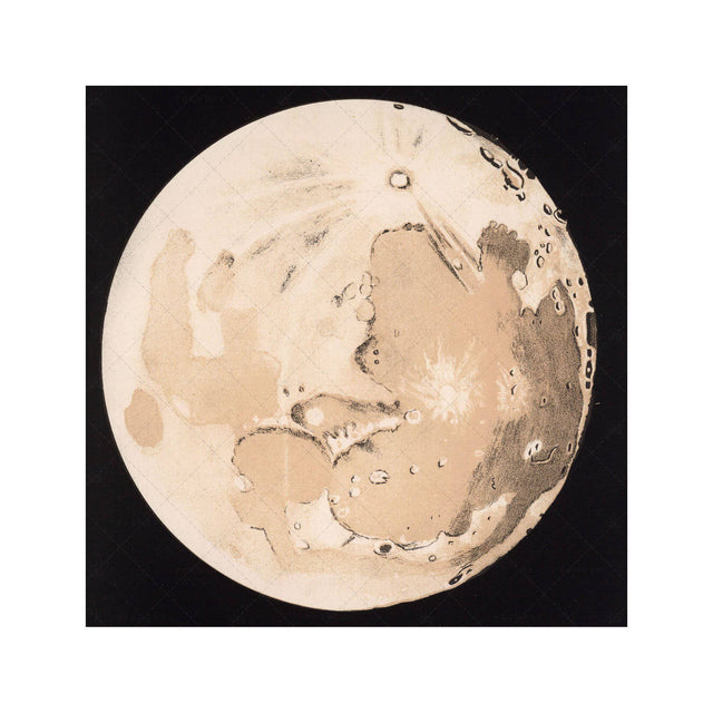LUNAR PHASES ILLUSTRATION - DAY 11 - Foundry