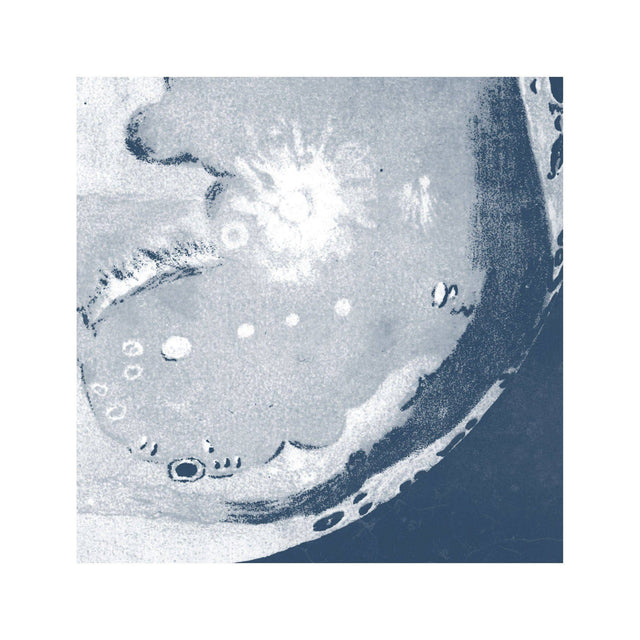 LUNAR PHASES ILLUSTRATION - DAY 12 - Foundry