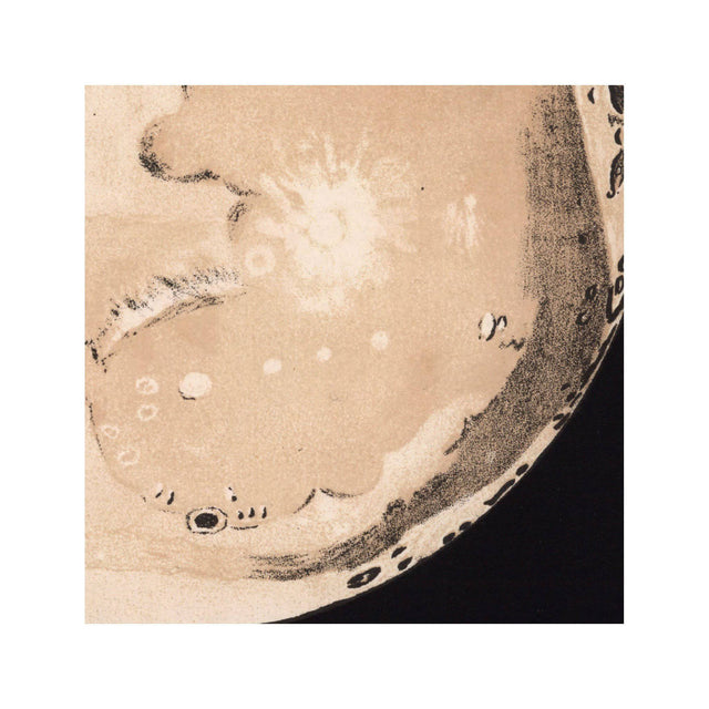 LUNAR PHASES ILLUSTRATION - DAY 12 - Foundry