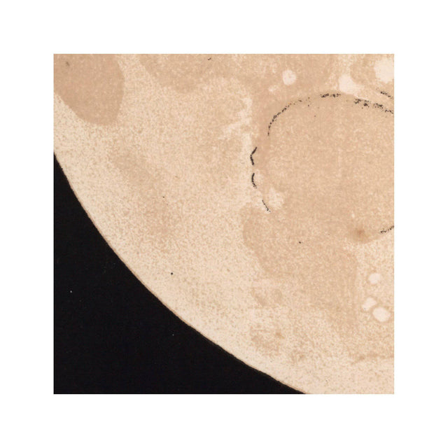 LUNAR PHASES ILLUSTRATION - DAY 12 - Foundry