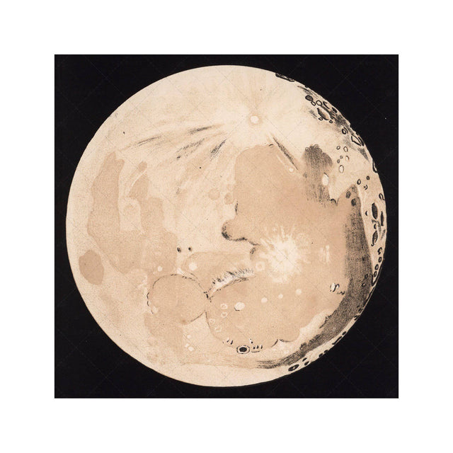 LUNAR PHASES ILLUSTRATION - DAY 12 - Foundry