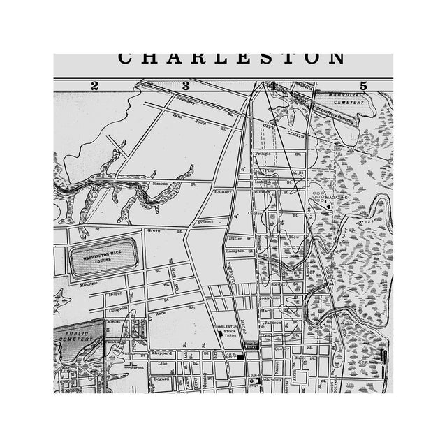 MAP of CHARLESTON, Circa 1900s - Foundry