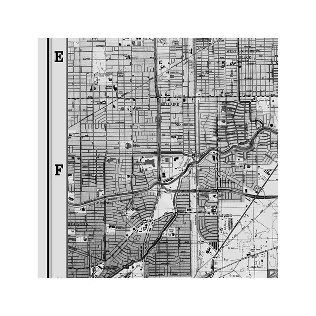MAP of HOUSTON, Circa 1900s - Foundry