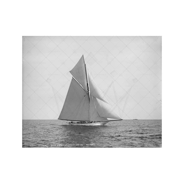 NAUTICAL Photo - SAILING COLONIA,1893 - Foundry
