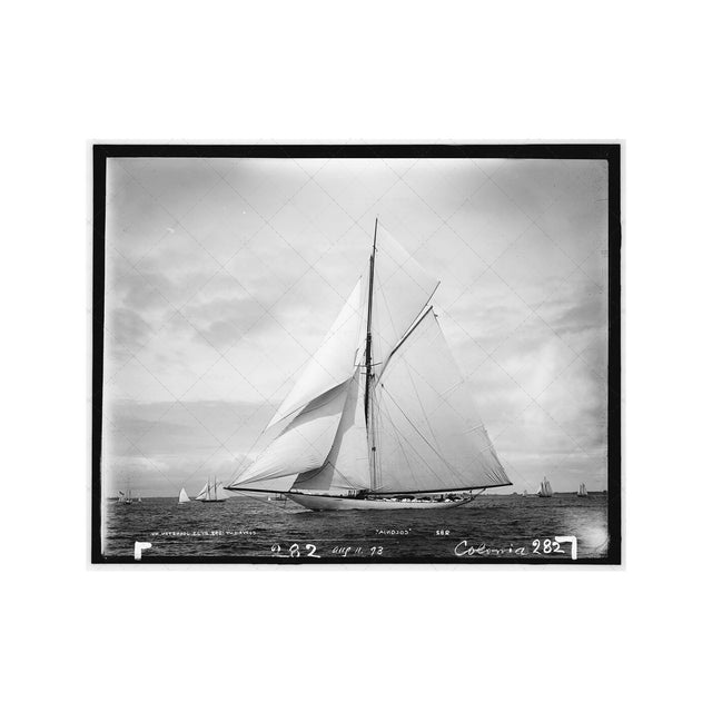 NAUTICAL Photo - SAILING COLONIA (282), 1893 - Foundry