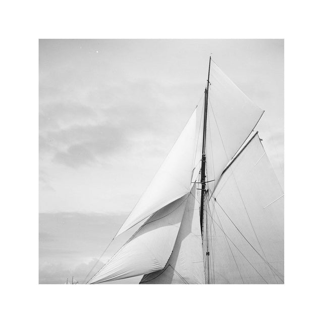 NAUTICAL Photo - SAILING COLONIA (282), 1893 - Foundry