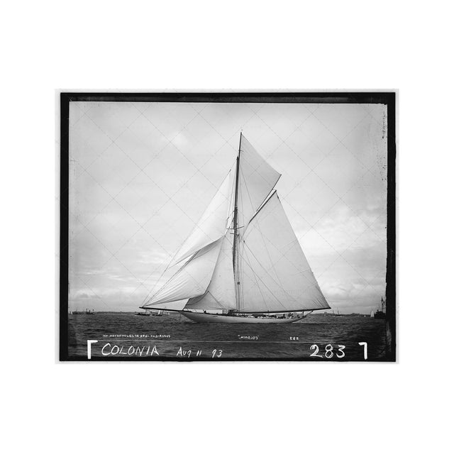 NAUTICAL Photo - SAILING COLONIA (283), 1893 - Foundry