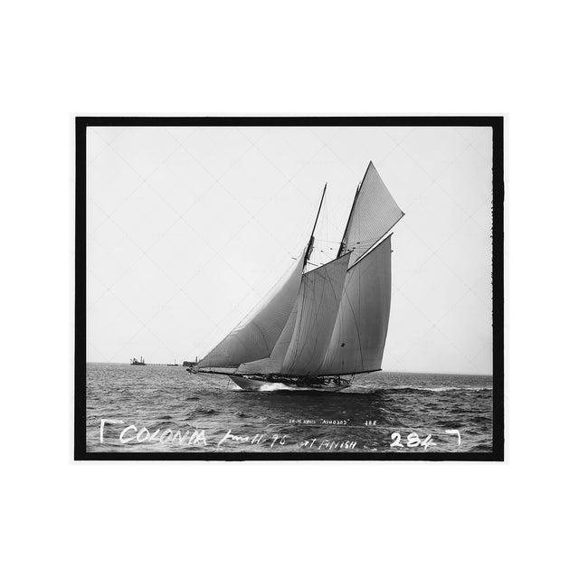 NAUTICAL Photo - SAILING COLONIA (284), 1893 - Foundry
