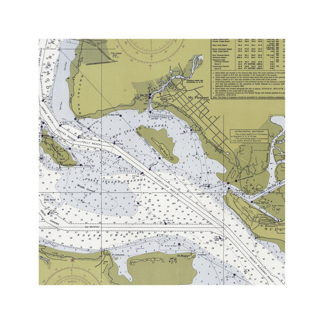 Nautical Survey Map - CHARLESTON HARBOR - Foundry