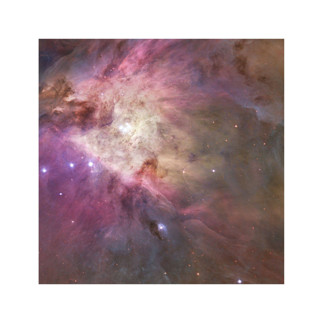 ORION NEBULA Photograph - Foundry