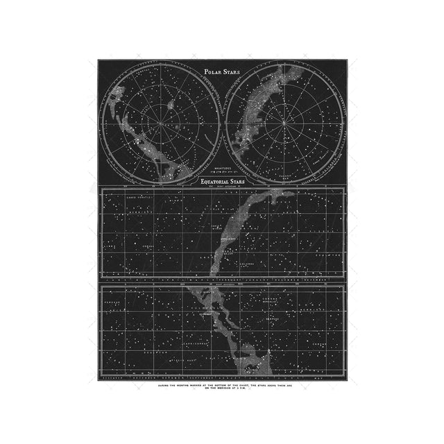 POLAR and EQUATORIAL Stars Map - Foundry