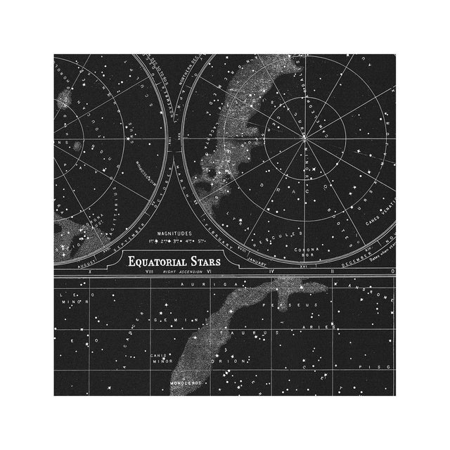 POLAR and EQUATORIAL Stars Map - Foundry