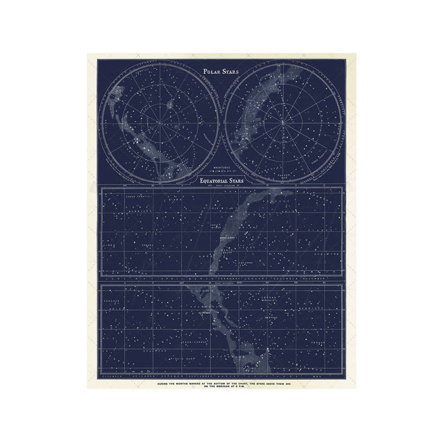 POLAR and EQUATORIAL Stars Map - Foundry