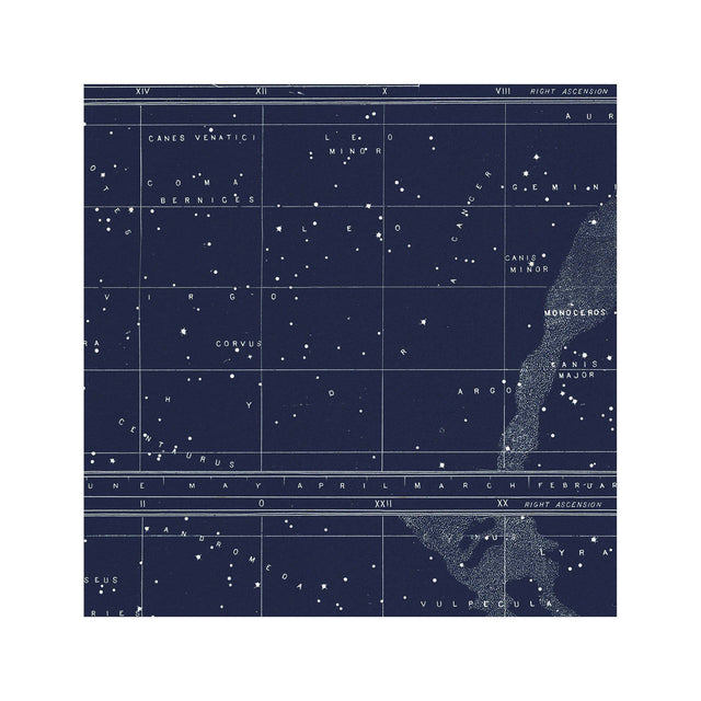 POLAR and EQUATORIAL Stars Map - Foundry
