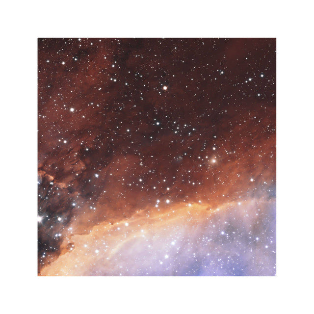PRAWN NEBULA Photograph - Foundry