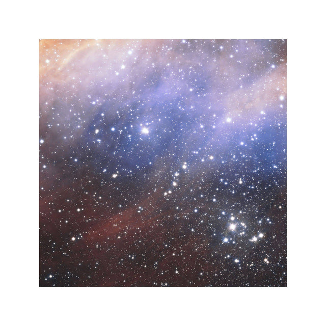 PRAWN NEBULA Photograph - Foundry