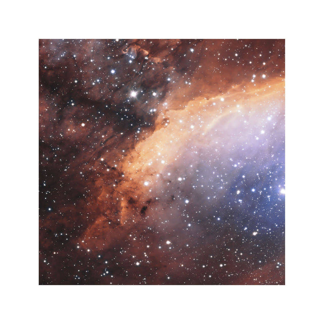 PRAWN NEBULA Photograph - Foundry