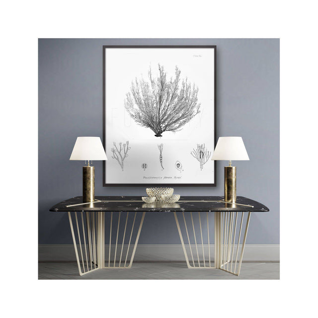 SEAWEED ART: 1859 BOTANICAL #01 - Foundry