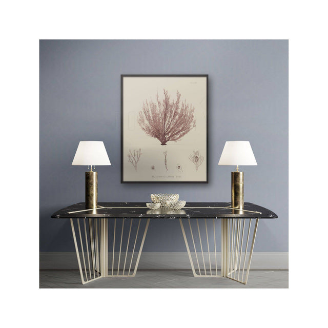 SEAWEED ART: 1859 BOTANICAL #01 - Foundry