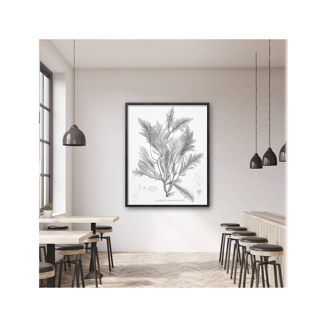 SEAWEED ART: 1859 BOTANICAL #02 - Foundry
