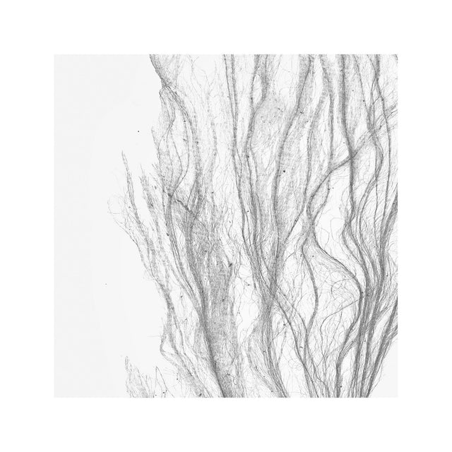 SEAWEED ART: 1859 BOTANICAL #03 - Foundry