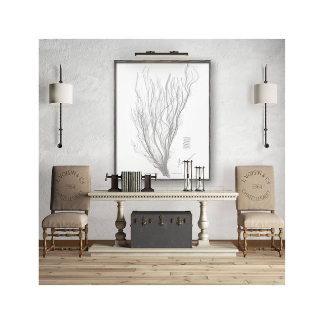 SEAWEED ART: 1859 BOTANICAL #03 - Foundry