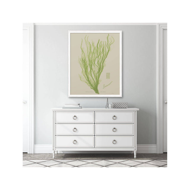 SEAWEED ART: 1859 BOTANICAL #03 - Foundry