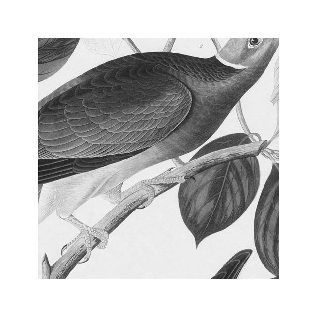 WHIMSICAL BIRD - Foundry