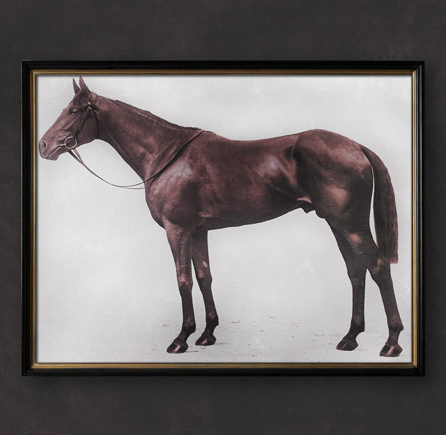 1928 ROYAL ASCOT, THOROUGHBRED Print, Horse Photo, Equine Decor, Horse Art, Equestrian Art, Millwell