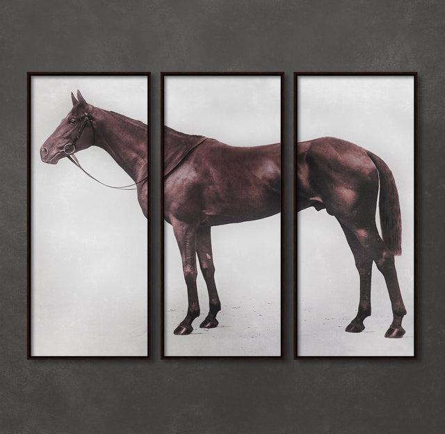 1928 ROYAL ASCOT THOROUGHBRED Triptych Wall Art - Vintage Horse Art - Equine Art - Lord Denver Horse - Aditoch - Horse Decor, Equestrian Art