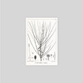 18TH C FRENCH BOTANICAL Art #4 - Plant Poster - Garden Print - Flower Drawing - Flower Print - Rustic Art - Farmhouse Art