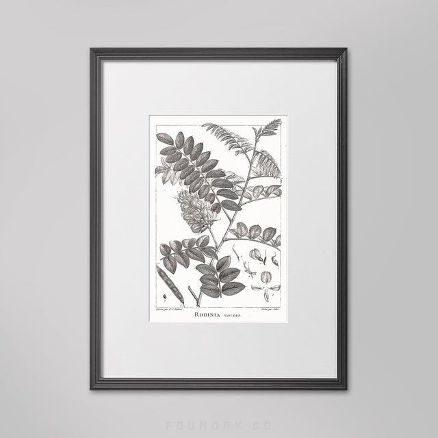 18TH C FRENCH BOTANICAL Drawing #9 - Hand Drawn Illustration - Wall Art - Floral Decor - Shabby Chic - Botanical Illustration - Bohemian Art