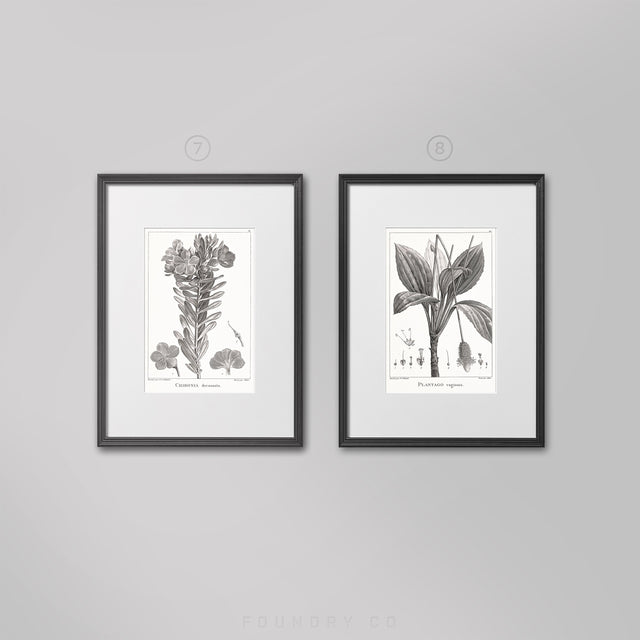 18TH C FRENCH BOTANICAL ENGRAVINGS Collection - Botanical Print Set - Botanical Illustration - Floral Decor - Boho Chic - Botanical Artwork