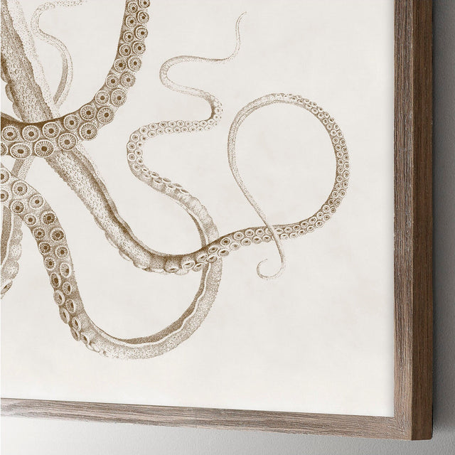 Octopus Wall Art, Octopus Decor, Marine Biology, Living Room Wall Art, Octopus Print, Shore House Decor, Beach House Art, Coastal Prints