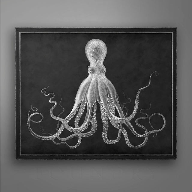 Octopus Print - Vintage Fine Art - Octopus Art - Octopus Picture - Ocean Print - Beach Decor - Nautical Print - Kraken Print - Circa 1800s