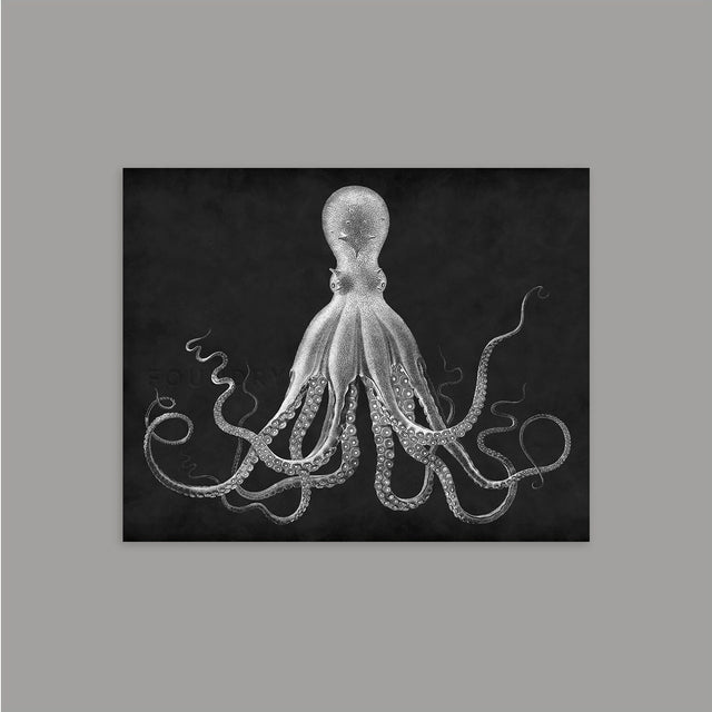 Octopus Print - Vintage Fine Art - Octopus Art - Octopus Picture - Ocean Print - Beach Decor - Nautical Print - Kraken Print - Circa 1800s