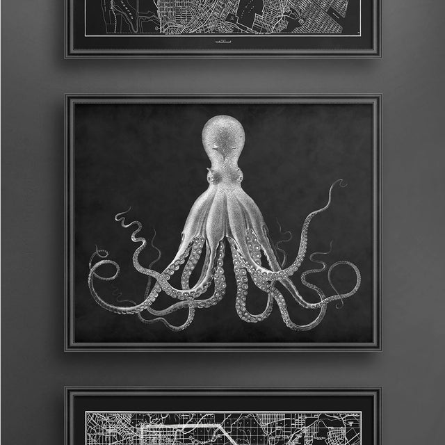 Octopus Print - Vintage Fine Art - Octopus Art - Octopus Picture - Ocean Print - Beach Decor - Nautical Print - Kraken Print - Circa 1800s