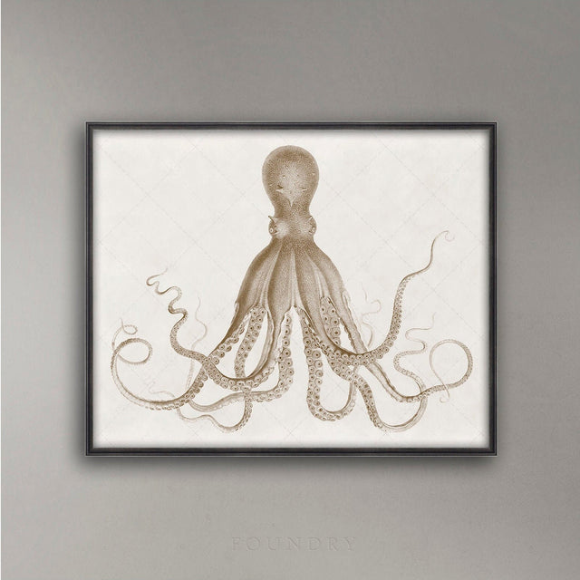 Octopus Wall Art, Octopus Decor, Marine Biology, Living Room Wall Art, Octopus Print, Shore House Decor, Beach House Art, Coastal Prints
