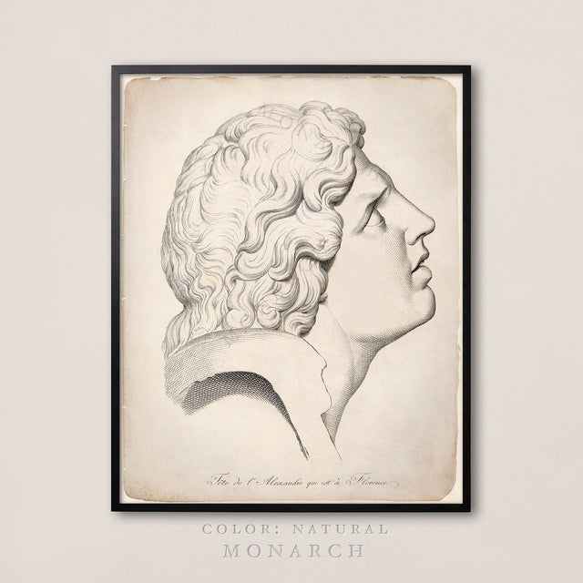 RENAISSANCE GREEK SCULPTURE Engraving #3, Circa 18th C. Greek Drawing, Sculpture Illustration, Figure Art, Vintage Art, Greek Drawing