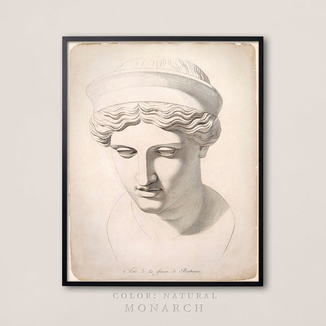 ANCIENT GREEK STATUE Illustration Engraving #2, 18th C. Greek Print, Statue Illustration, Italian Art, Greek Sculpture, Statue Wall Print