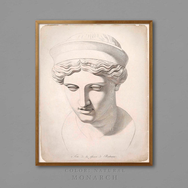 ANCIENT GREEK STATUE Illustration Engraving #2, 18th C. Greek Print, Statue Illustration, Italian Art, Greek Sculpture, Statue Wall Print