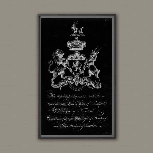 18TH C. ENGLISH ARMORIAL Engraving #6, Baronagium Genealogicum, Coat of Arms, Family Crest, Heraldry Print, Renaissance, Art, Medieval Crest