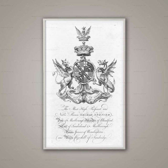 Coat of Arms Print #11, Family Crest, 18TH C. ENGLISH ARMORIAL Engraving, Family Crest, Heraldry Print, Renaissance, Art, Medieval Shield