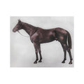 1928 ROYAL ASCOT THOROUGHBRED - LORD DENVER - Foundry