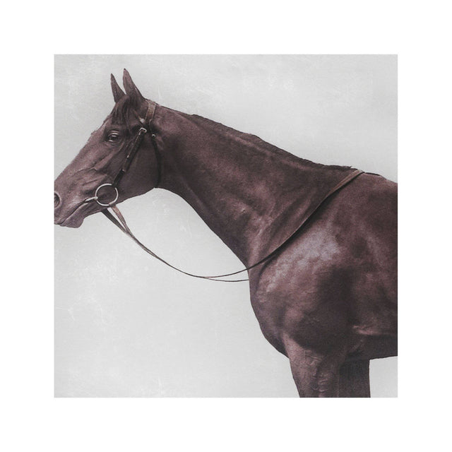1928 ROYAL ASCOT THOROUGHBRED - LORD DENVER - Triptych - Foundry