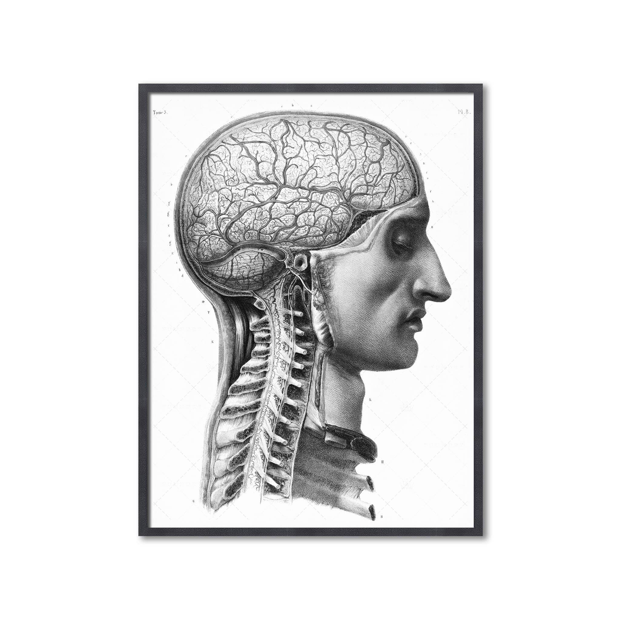 Human brain sketch Stock Illustration | Adobe Stock